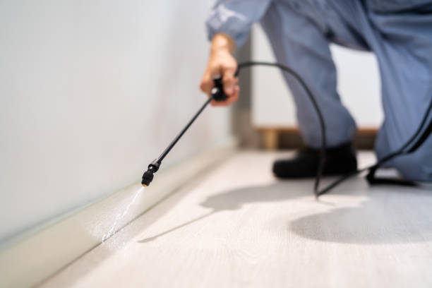 Licensed Pest Control service in Mount Pleasant, TX - Show Me Pest Control