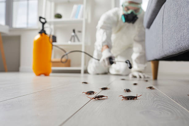 Commercial Kitchen Cockroach Control in Mount Pleasant